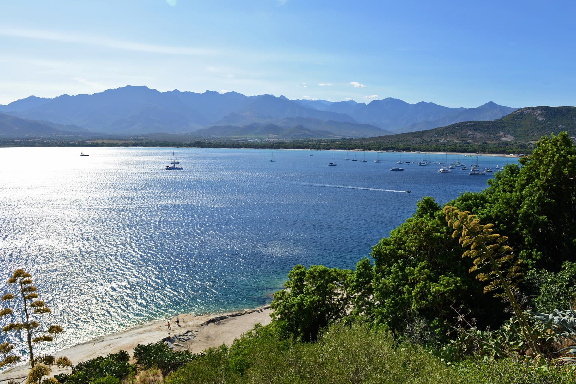 Calvi Travel Guide